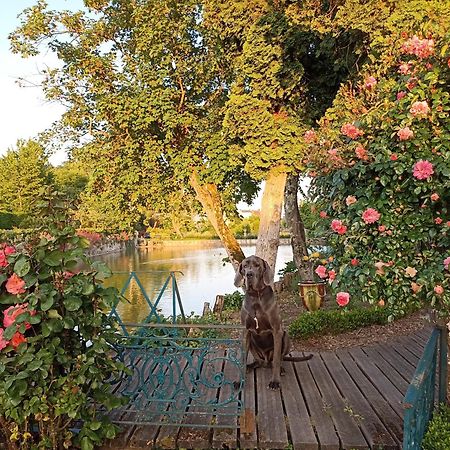 Les Douves Bed & Breakfast Onzain Exterior photo